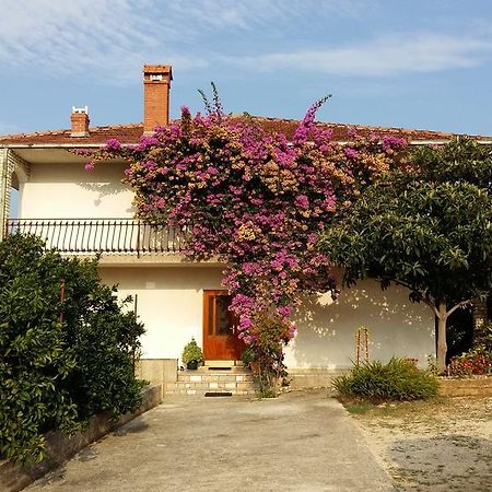 Apartman Dukic Διαμέρισμα Τρογκίρ Εξωτερικό φωτογραφία